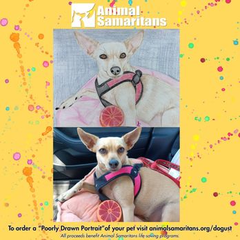 Animal Samaritans Veterinary Clinic Thousand Palms - Fundraiser pic - Pet Services Near Me - Thousand Palms, California