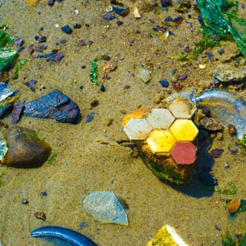 Dead Horse Bay - Mosaics - Beaches Near Me Dead Horse Bay - Mosaics - Beaches Near Me