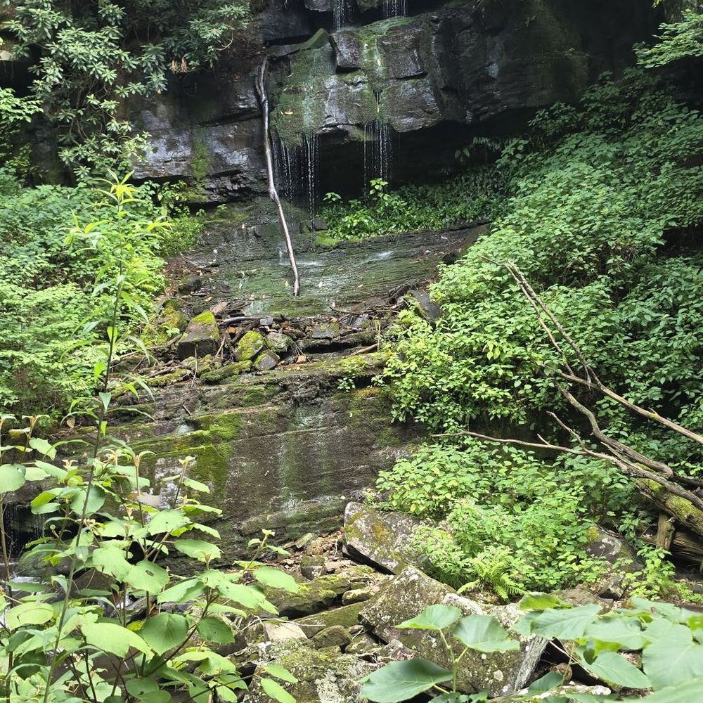 Cascade Falls - Parks Near Me - Pembroke, Virginia