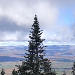 The Whiteface Mountain Veterans Memorial Highway - Whiteface mountain