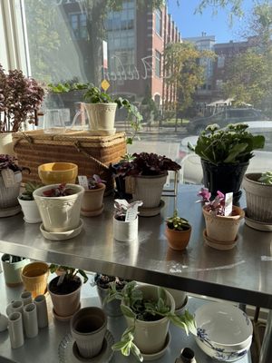 The Kismet Table by null