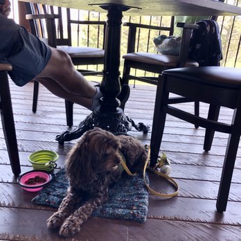 77 Steakhouse and Saloon - Our sweet Willow enjoying being with us. - American Near Me - Hulett, Wyoming 77 Steakhouse and Saloon - Our sweet Willow enjoying being with us. - American Near Me - Hulett, Wyoming