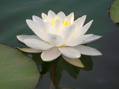 Elizabeth Salon & Day Spa