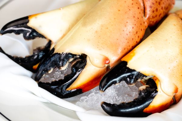 Truluck's Ocean's Finest Seafood and Crab by null