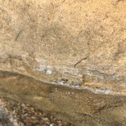 Sahara Construction and Custom Pools - Calcium ring underneath was not removed before re-staining the rock edge of pool so paint wont stick