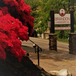 Brandon Landscape