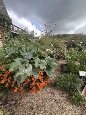 Seed Savers Exchange by null