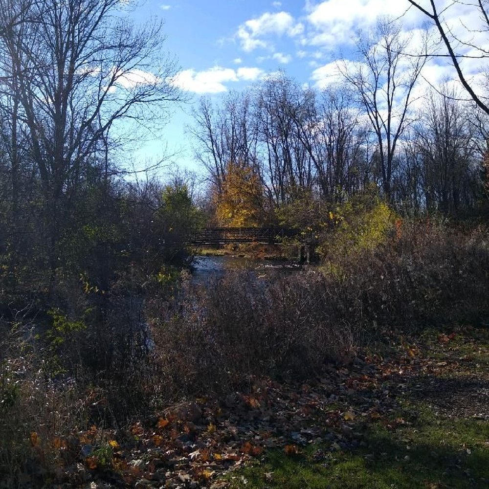 River Woods Park - Scenic autumn colors. - Parks Near Me - Auburn Hills, Michigan River Woods Park - Scenic autumn colors. - Parks Near Me - Auburn Hills, Michigan