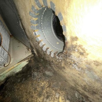 Green Leaf Plumbing, AC, and Heating - Biological growth in plennum and ducts - Heating & Air Conditioning/HVAC Near Me - Hutto, Texas Green Leaf Plumbing, AC, and Heating - Biological growth in plennum and ducts - Heating & Air Conditioning/HVAC Near Me - Hutto, Texas