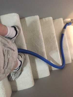 SOUTHERN CALIFORNIA CARPET CLEANING - Updated January 2025 - 29 Reviews