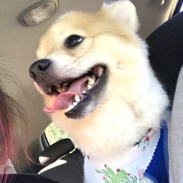 After- Happy boy After- Happy boy