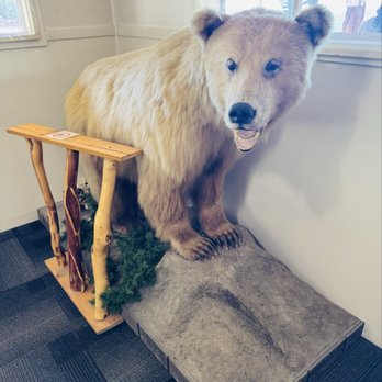 Long Rifle Lodge - Bear - Desserts Near Me - Glacier View, Alaska Long Rifle Lodge - Bear - Desserts Near Me - Glacier View, Alaska