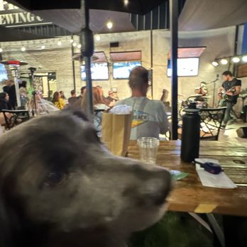 Pro-Five Brewing Company - Breweries Near Me - Upland, California
