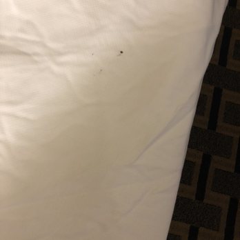 Comfort Suites Gadsden Attalla - Hotels Near Me - Gadsden, Alabama