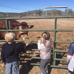 Healing Hearts Animal Rescue & Refuge - They even have sweet cows!