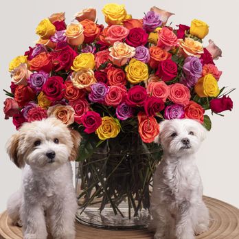 Cary Florist - Valentine's Day Flower Delivery Near Me! - Florists Near Me - Cary, North Carolina Cary Florist - Valentine's Day Flower Delivery Near Me! - Florists Near Me - Cary, North Carolina