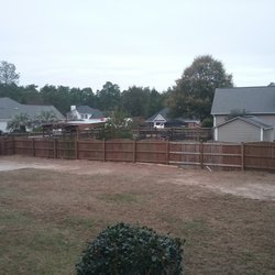 Affordable Carolina Tree Service