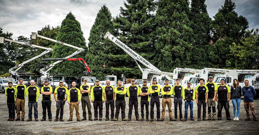 Eastside Tree Works - tree service in Carnation, WA