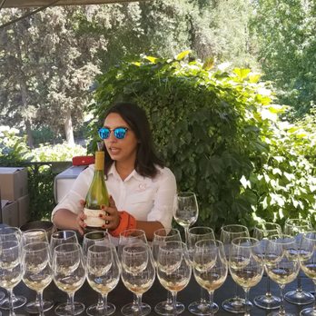 Concha y Toro - Guide in the first tasting - Wineries Near Me - Pirque, RM Concha y Toro - Guide in the first tasting - Wineries Near Me - Pirque, RM