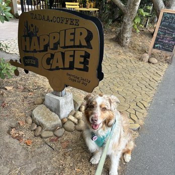 Happier Cafe by TADAA.Coffee - We just discovered the Happier Cafe! ** Dogs Welcome ** - Coffee & Tea Near Me - Los Angeles, California Happier Cafe by TADAA.Coffee - We just discovered the Happier Cafe! ** Dogs Welcome ** - Coffee & Tea Near Me - Los Angeles, California