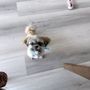 Doggie Do's