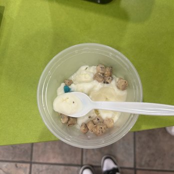 Yogurt Mountain - a fly in the Cup of Frozen Yogurt - Desserts Near Me - Concord Mills, North Carolina Yogurt Mountain - a fly in the Cup of Frozen Yogurt - Desserts Near Me - Concord Mills, North Carolina