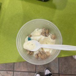 A fly in the Cup of Frozen Yogurt