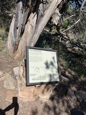 Tusayan Ruin by null