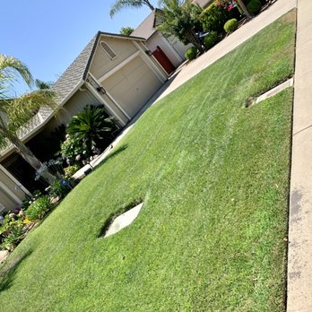 Cuts & Edging Lawn Care - a lawn with a cut in the grass - Lawn Services Near Me