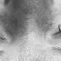 Photo of FlutterBy Lash Extensions