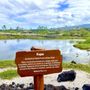 Photo of Kohanaiki Beach