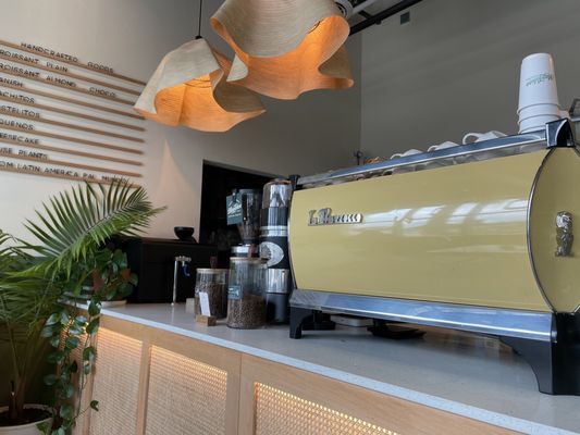 Magdalena Coffee & Houseplants by null