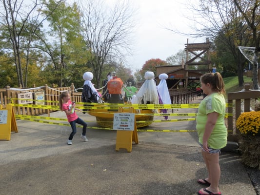 Holiday World & Splashin' Safari by null