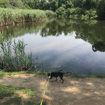 Gardiner County Park - Dog Parks Near Me - West Bay Shore, New York Gardiner County Park - Dog Parks Near Me - West Bay Shore, New York