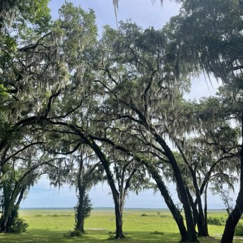 Paynes Prairie Preserve State Park - Parks Near Me - Micanopy, Florida