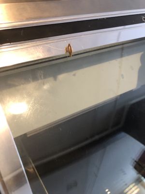 Jorge's Kitchen by null