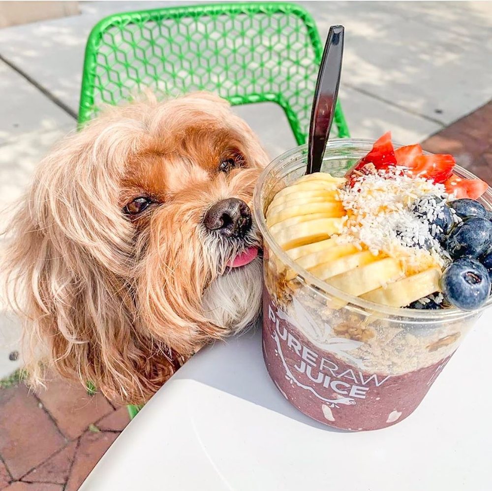 PURE RAW JUICE FEDERAL HILL TEMP. CLOSED 453 Photos & 218 Reviews 1401 Riverside Ave