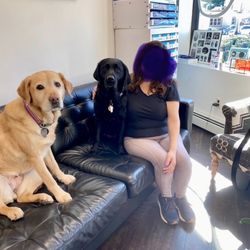 Vision World - Getting some love from the awesome therapy dogs at Vision World in Albertson.