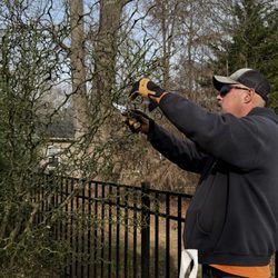 A Cut Above Landscaping - Pruning fruit trees