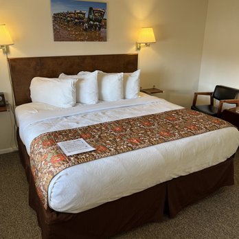 Roadrunner Lodge Motel - Ridiculously comfortable bed! - Hotels Near Me - Tucumcari, New Mexico Roadrunner Lodge Motel - Ridiculously comfortable bed! - Hotels Near Me - Tucumcari, New Mexico