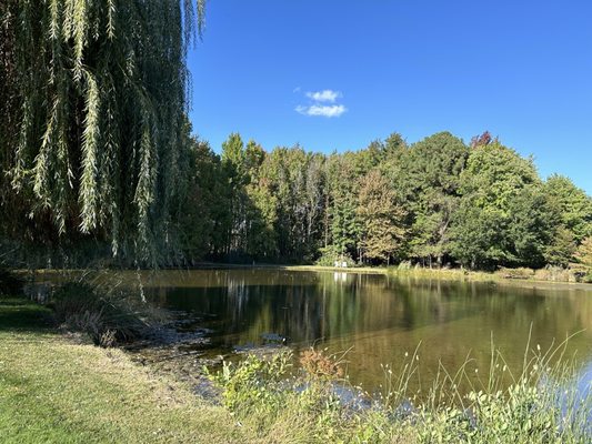 Inn at Huntingfield Creek and Getaway Cottages by null
