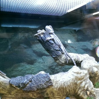 Petco - Pet Stores Near Me - Wauwatosa, Wisconsin