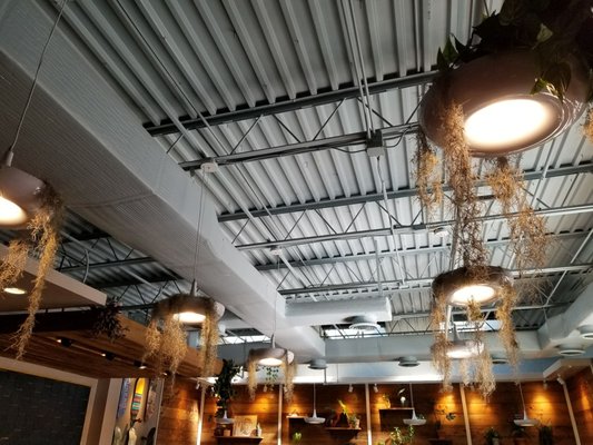 Vigilante Coffee College Park by null