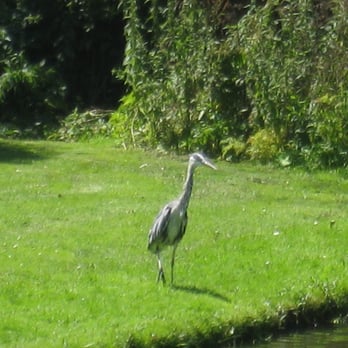 Vondelpark - Parks Near Me