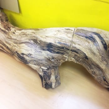 樂文書店 - This is the tree wood that's been here for more than 15 years... apparently not the most comfy to sit on. =| - Bookstores Near Me - Hong Kong, HK
