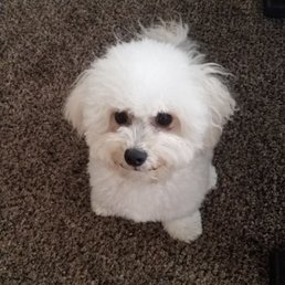 Sweet Gidget! She's incredible!