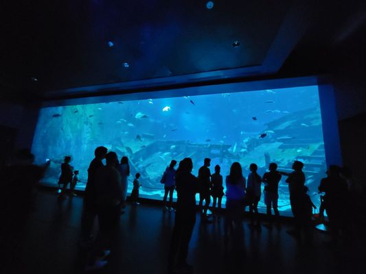 Singapore Oceanarium by null