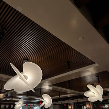 131 Main - Dining area - Seafood Near Me - Sarasota, Florida 131 Main - Dining area - Seafood Near Me - Sarasota, Florida