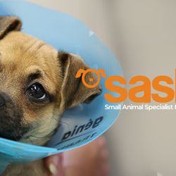 Small Animal Specialist Hospital