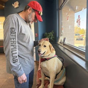 Dermatology for Animals - Albuquerque - Husband and Gracie - Veterinarians Near Me - Albuquerque, New Mexico Dermatology for Animals - Albuquerque - Husband and Gracie - Veterinarians Near Me - Albuquerque, New Mexico